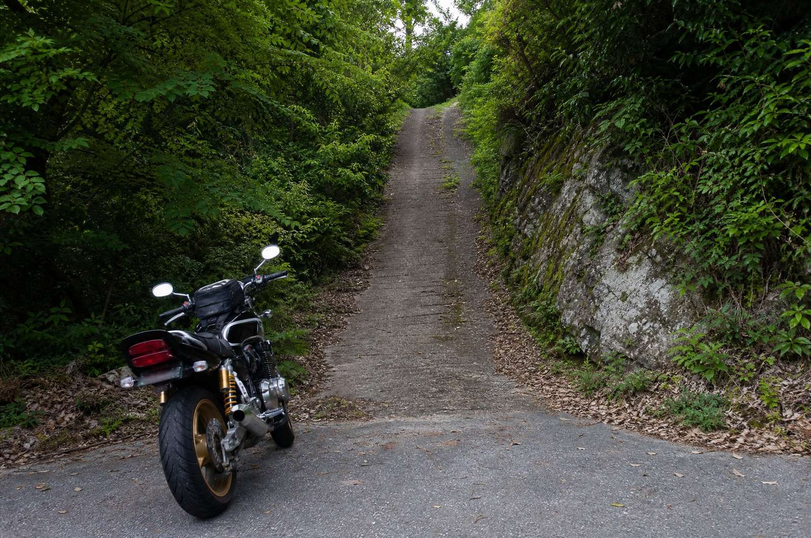 木立に挟まれた急で細いコンクリート私道の入口に停まるバイク